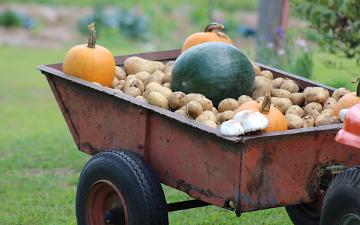 Agricultural vehicle from Chrome web store to be run with OffiDocs Chromium online Agricultural vehicle from Chrome web store to be run with OffiDocs Chromium online