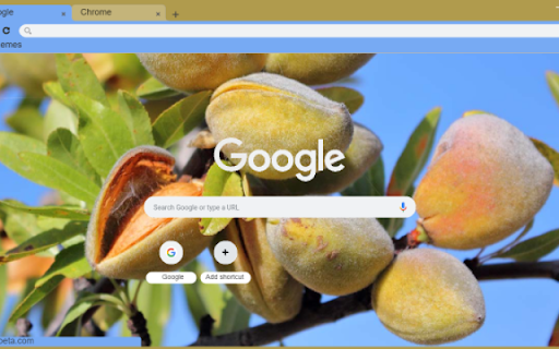 Almond Tree from Chrome web store to be run with OffiDocs Chromium online Almond Tree from Chrome web store to be run with OffiDocs Chromium online
