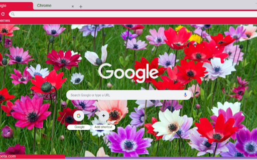 Anemone from Chrome web store to be run with OffiDocs Chromium online Anemone from Chrome web store to be run with OffiDocs Chromium online