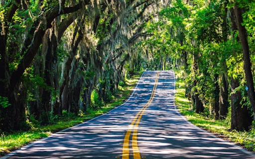 A picturesque winding road from Chrome web store to be run with OffiDocs Chromium online A picturesque winding road from Chrome web store to be run with OffiDocs Chromium online