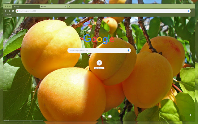 Apricot tree branch from Chrome web store to be run with OffiDocs Chromium online Apricot tree branch from Chrome web store to be run with OffiDocs Chromium online