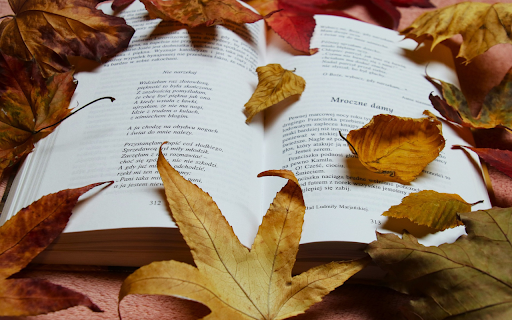 Autumn comes in every poem from Chrome web store to be run with OffiDocs Chromium online Autumn comes in every poem from Chrome web store to be run with OffiDocs Chromium online