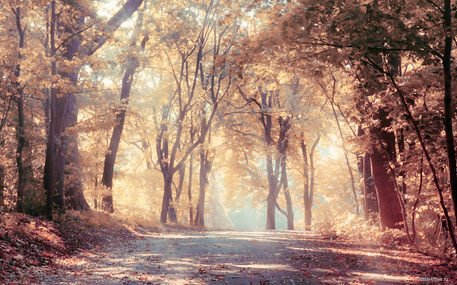 Autumn Path from Chrome web store to be run with OffiDocs Chromium online Autumn Path from Chrome web store to be run with OffiDocs Chromium online