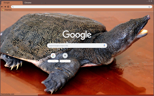 Baba from Chrome web store to be run with OffiDocs Chromium online Baba from Chrome web store to be run with OffiDocs Chromium online