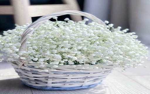 Babys Breath flower basket wallpaper from Chrome web store to be run with OffiDocs Chromium online Babys Breath flower basket wallpaper from Chrome web store to be run with OffiDocs Chromium online