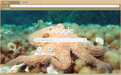 Bach tuoc from Chrome web store to be run with OffiDocs Chromium online Bach tuoc from Chrome web store to be run with OffiDocs Chromium online