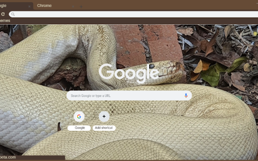 Bach xa from Chrome web store to be run with OffiDocs Chromium online Bach xa from Chrome web store to be run with OffiDocs Chromium online