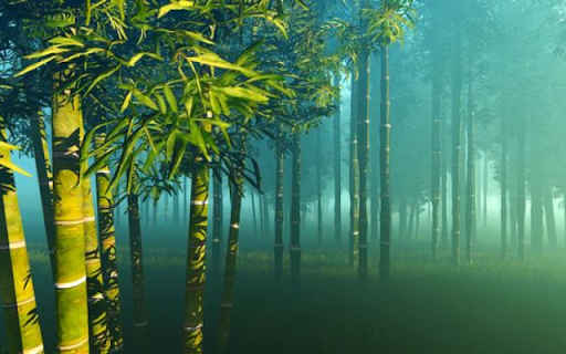 Bamboo Forest in Mist from Chrome web store to be run with OffiDocs Chromium online Bamboo Forest in Mist from Chrome web store to be run with OffiDocs Chromium online