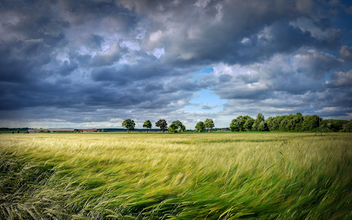 Barley field from Chrome web store to be run with OffiDocs Chromium online Barley field from Chrome web store to be run with OffiDocs Chromium online