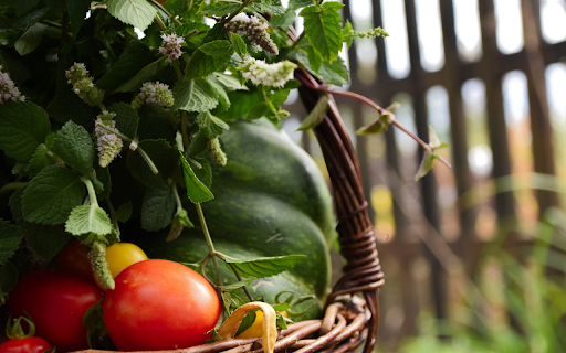 Basket of fruits and vegetables from Chrome web store to be run with OffiDocs Chromium online Basket of fruits and vegetables from Chrome web store to be run with OffiDocs Chromium online
