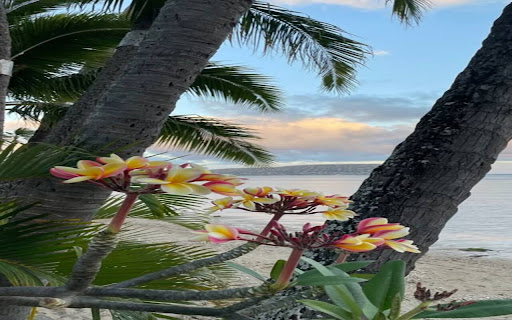 beach wallpaper from Chrome web store to be run with OffiDocs Chromium online beach wallpaper from Chrome web store to be run with OffiDocs Chromium online