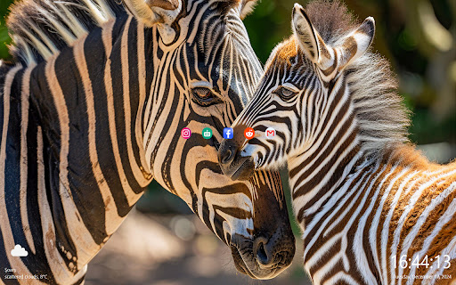 beautiful zebra from Chrome web store to be run with OffiDocs Chromium online beautiful zebra from Chrome web store to be run with OffiDocs Chromium online