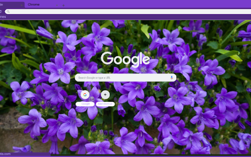 Bellflower from Chrome web store to be run with OffiDocs Chromium online Bellflower from Chrome web store to be run with OffiDocs Chromium online
