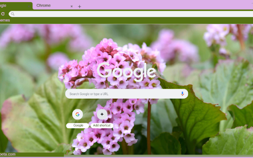 Bergenia from Chrome web store to be run with OffiDocs Chromium online Bergenia from Chrome web store to be run with OffiDocs Chromium online