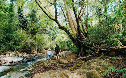Bù Gia Mập National Park – A Pristine Haven of Biodiversity from Chrome web store to be run with OffiDocs Chromium online Bù Gia Mập National Park – A Pristine Haven of Biodiversity from Chrome web store to be run with OffiDocs Chromium online
