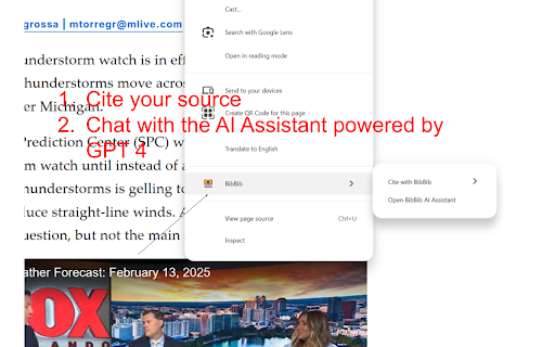 BibBib from Chrome web store to be run with OffiDocs Chromium online BibBib from Chrome web store to be run with OffiDocs Chromium online