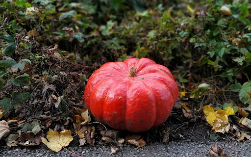 Big round pumpkin from Chrome web store to be run with OffiDocs Chromium online Big round pumpkin from Chrome web store to be run with OffiDocs Chromium online