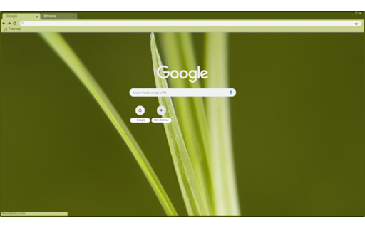 blades of grass from Chrome web store to be run with OffiDocs Chromium online blades of grass from Chrome web store to be run with OffiDocs Chromium online
