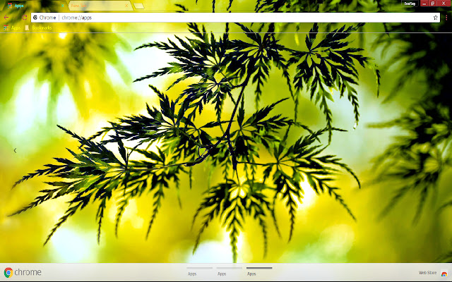 Bokeh Fall Green Leaf Nature from Chrome web store to be run with OffiDocs Chromium online Bokeh Fall Green Leaf Nature from Chrome web store to be run with OffiDocs Chromium online