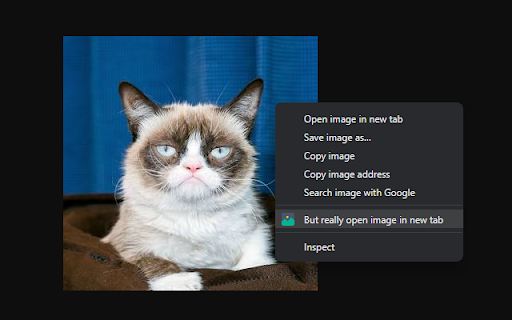 But really open image in new tab from Chrome web store to be run with OffiDocs Chromium online But really open image in new tab from Chrome web store to be run with OffiDocs Chromium online