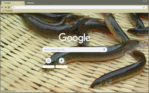 Ca chach from Chrome web store to be run with OffiDocs Chromium online Ca chach from Chrome web store to be run with OffiDocs Chromium online