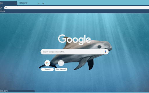 Ca Heo Chung from Chrome web store to be run with OffiDocs Chromium online Ca Heo Chung from Chrome web store to be run with OffiDocs Chromium online
