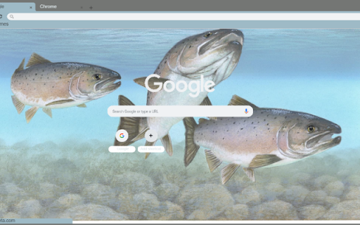 Ca Hoi from Chrome web store to be run with OffiDocs Chromium online Ca Hoi from Chrome web store to be run with OffiDocs Chromium online