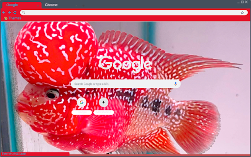 Ca phong do from Chrome web store to be run with OffiDocs Chromium online Ca phong do from Chrome web store to be run with OffiDocs Chromium online