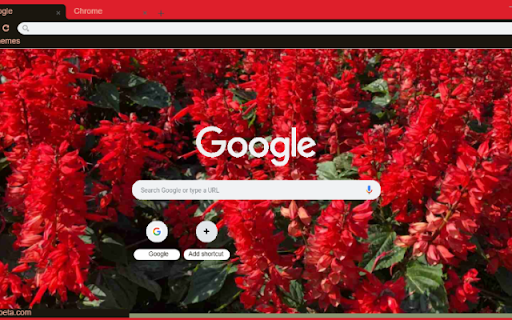 Cardinal Flower from Chrome web store to be run with OffiDocs Chromium online Cardinal Flower from Chrome web store to be run with OffiDocs Chromium online