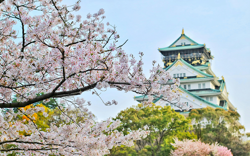 Cherry Blossom Castle Theme from Chrome web store to be run with OffiDocs Chromium online Cherry Blossom Castle Theme from Chrome web store to be run with OffiDocs Chromium online