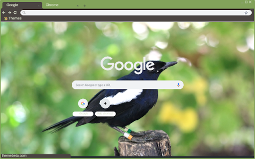 Chim Chich Choe from Chrome web store to be run with OffiDocs Chromium online Chim Chich Choe from Chrome web store to be run with OffiDocs Chromium online
