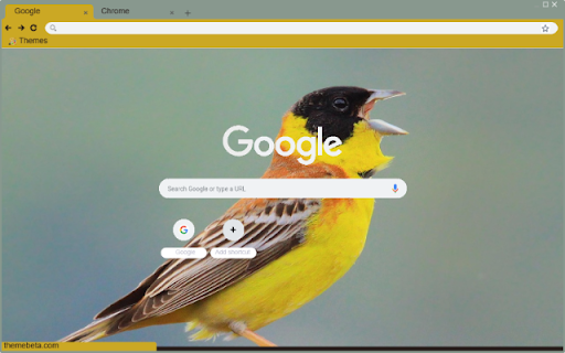 Chim Nheo from Chrome web store to be run with OffiDocs Chromium online Chim Nheo from Chrome web store to be run with OffiDocs Chromium online