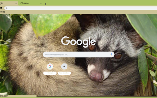 Chon Huong from Chrome web store to be run with OffiDocs Chromium online Chon Huong from Chrome web store to be run with OffiDocs Chromium online