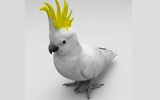 Cockatoo 3D from Chrome web store to be run with OffiDocs Chromium online Cockatoo 3D from Chrome web store to be run with OffiDocs Chromium online