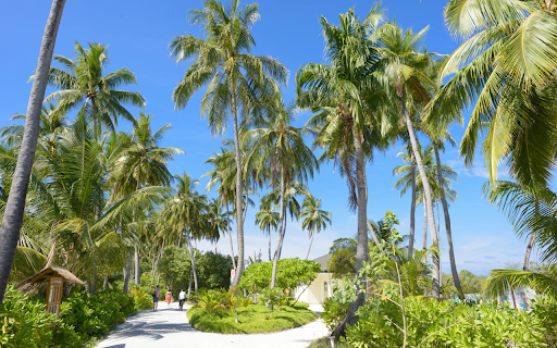 Coconut Island from Chrome web store to be run with OffiDocs Chromium online Coconut Island from Chrome web store to be run with OffiDocs Chromium online