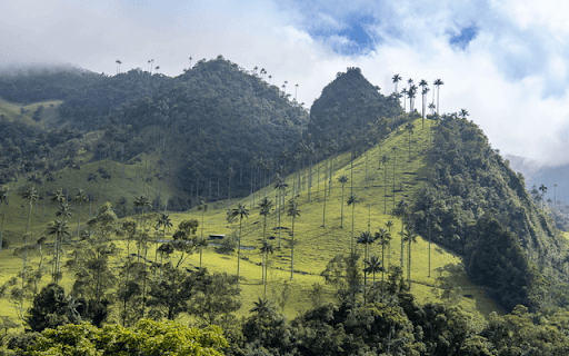 Cocora Valley from Chrome web store to be run with OffiDocs Chromium online Cocora Valley from Chrome web store to be run with OffiDocs Chromium online