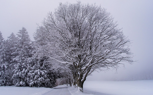 Cold winter from Chrome web store to be run with OffiDocs Chromium online Cold winter from Chrome web store to be run with OffiDocs Chromium online