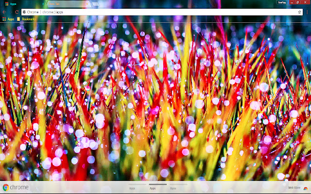 Colorful Dew Nature Red Spring from Chrome web store to be run with OffiDocs Chromium online Colorful Dew Nature Red Spring from Chrome web store to be run with OffiDocs Chromium online