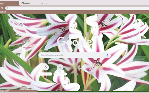 Crinum Lily from Chrome web store to be run with OffiDocs Chromium online Crinum Lily from Chrome web store to be run with OffiDocs Chromium online
