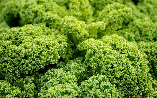 Curly Lettuce from Chrome web store to be run with OffiDocs Chromium online Curly Lettuce from Chrome web store to be run with OffiDocs Chromium online