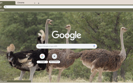 Da Dieu from Chrome web store to be run with OffiDocs Chromium online Da Dieu from Chrome web store to be run with OffiDocs Chromium online