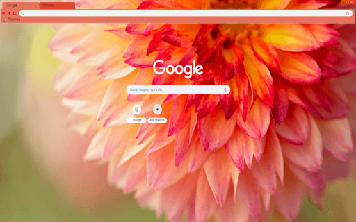 Dahlia Petals from Chrome web store to be run with OffiDocs Chromium online Dahlia Petals from Chrome web store to be run with OffiDocs Chromium online