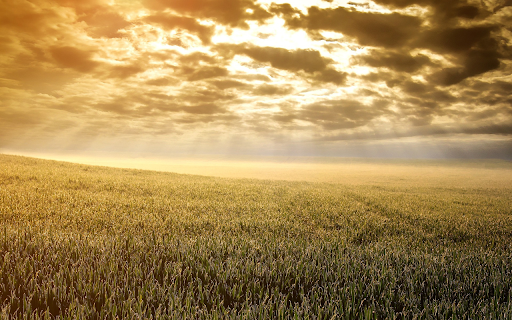Dawn in the fields from Chrome web store to be run with OffiDocs Chromium online Dawn in the fields from Chrome web store to be run with OffiDocs Chromium online