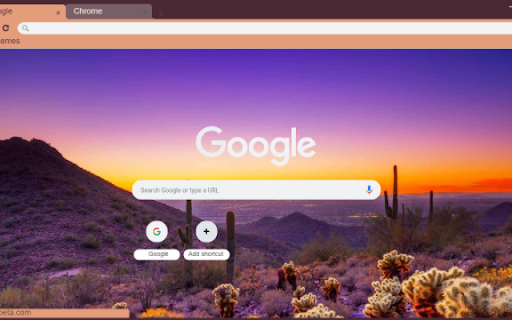 Desert Cactus Sunset from Chrome web store to be run with OffiDocs Chromium online Desert Cactus Sunset from Chrome web store to be run with OffiDocs Chromium online