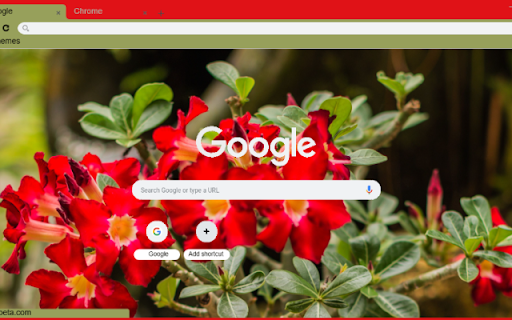 Desert Rose from Chrome web store to be run with OffiDocs Chromium online Desert Rose from Chrome web store to be run with OffiDocs Chromium online