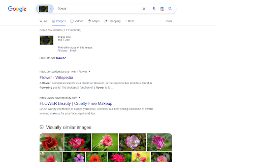 Disable Google Lens from Chrome web store to be run with OffiDocs Chromium online Disable Google Lens from Chrome web store to be run with OffiDocs Chromium online
