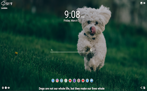 Dogs MeaVana from Chrome web store to be run with OffiDocs Chromium online Dogs MeaVana from Chrome web store to be run with OffiDocs Chromium online