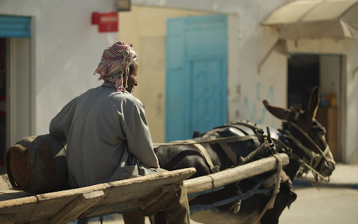 Donkey pulling a cart from Chrome web store to be run with OffiDocs Chromium online Donkey pulling a cart from Chrome web store to be run with OffiDocs Chromium online