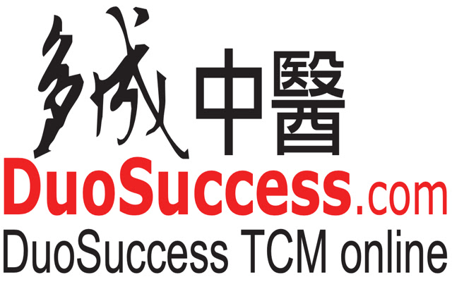 Duosuccess midi plugin from Chrome web store to be run with OffiDocs Chromium online Duosuccess midi plugin from Chrome web store to be run with OffiDocs Chromium online