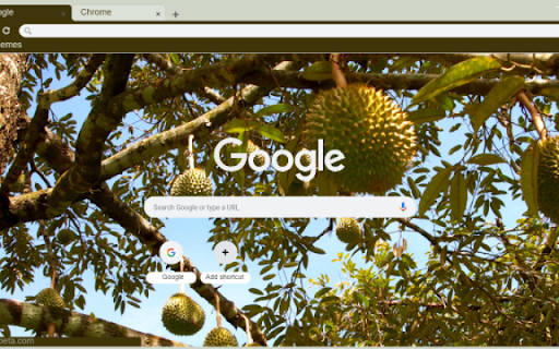Durian Tree from Chrome web store to be run with OffiDocs Chromium online Durian Tree from Chrome web store to be run with OffiDocs Chromium online